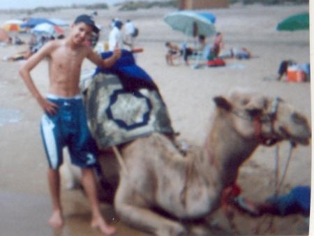 wesh meme a agadir les chameaux ne manquent po